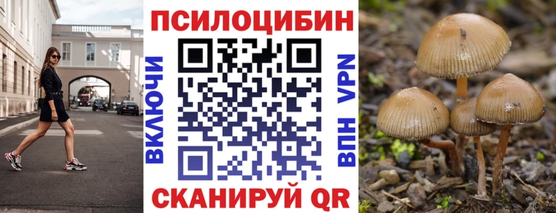 Псилоцибиновые грибы мицелий  Клинцы 